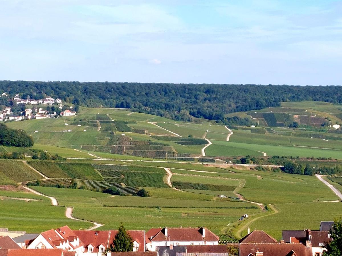 Epernay Capital De Champagne Apartment Exterior photo